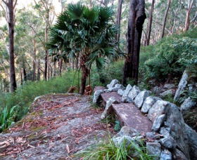 Wodi Wodi Walking Track - Attractions 0