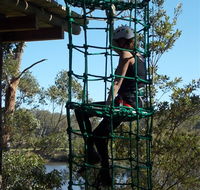 Trees Adventure Shoalhaven - Attractions