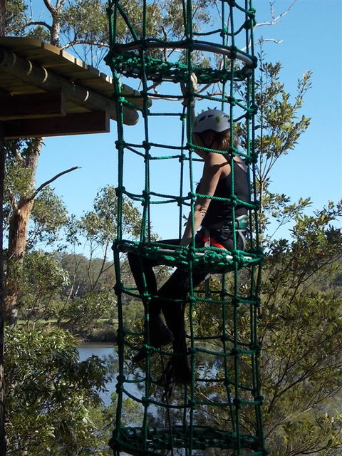 Trees Adventure Shoalhaven - Attractions 0