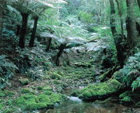 Deua National Park