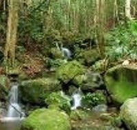 Budderoo National Park - Attractions