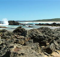 Coastal Walks - Bermagui - Attractions