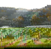 Tilba Valley Wines - Attractions