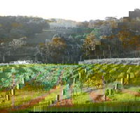 Book Narooma Accommodation Vacations Attractions Attractions