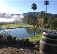 Yarrawa Estate - Attractions