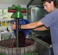 Fern Gully Winery - Attractions