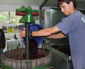 Fern Gully Winery - Attractions 0