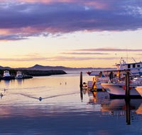 Bermagui Fishermens Wharf - Attractions