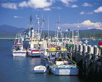 Book Eden Accommodation Vacations Attractions Attractions