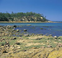 Aslings Beach - Attractions