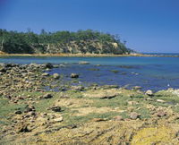 Aslings Beach