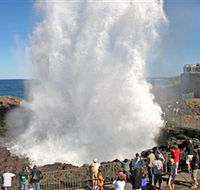 Kiama Blowhole - Attractions