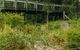 Eurobodalla Botanic Gardens - thumb 0