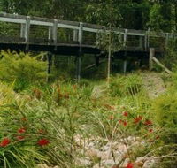 Eurobodalla Botanic Gardens - Attractions