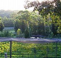 Lyrebird Ridge Organic Winery - Attractions