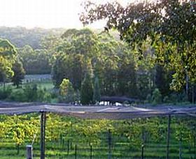 Lyrebird Ridge Organic Winery - Attractions 0