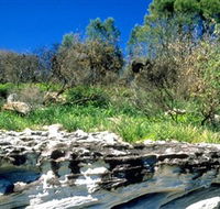 Abrahams Bosom Reserve - Attractions