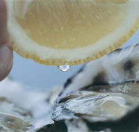 Pearly Oyster Bar and Farm - Attractions