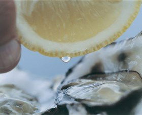 Pearly Oyster Bar And Farm - Attractions 0