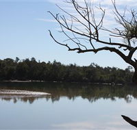 North Coast Holiday Parks Boambee Creek Reserve - Attractions