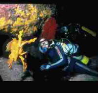 Solitary Islands Marine Park - Attractions
