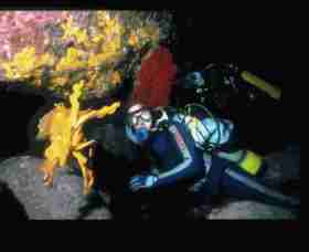 Solitary Islands Marine Park - Attractions 0