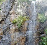 Wedding Bells Forest Drive - Attractions
