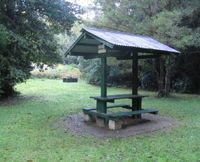 Pine Creek State Forest