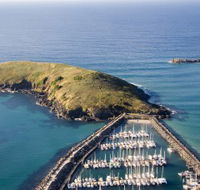 Muttonbird Island Nature Reserve - Attractions