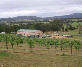 Villa D Esta Vineyard - Attractions 0