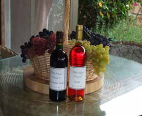 Villa D Esta Vineyard - Attractions 2