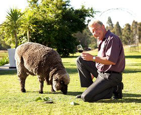 Moorebank Private Vineyard - Attractions 2