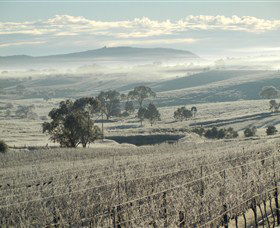 Kurrajong Downs Wines Vineyard - Attractions 1