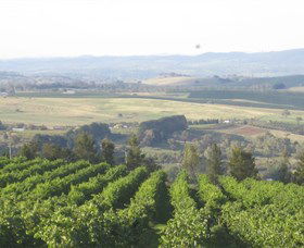 De Salis Wines - Attractions 1