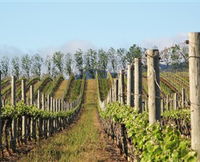 Philip Shaw Wines