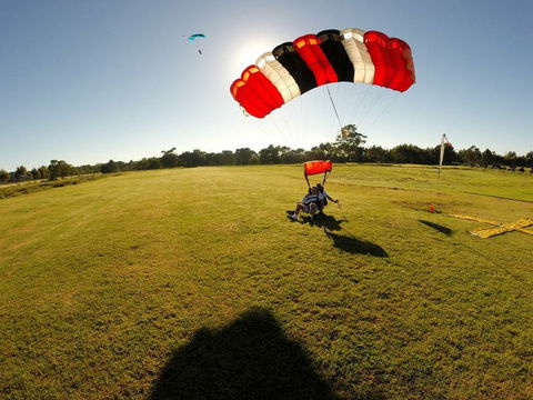 Skydive Sydney North Coast - Attractions 10