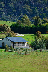Sinclair Of Scotsburn - Attractions 1