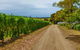 Merricks Estate - thumb 1
