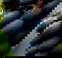 Swinging Bridge Estate - See Attractions