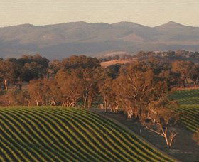 Angullong Wines - Attractions 0