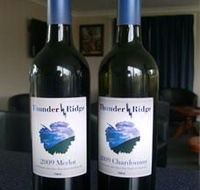 Thunder Ridge Wines - Attractions