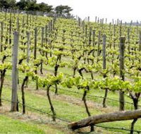 Bantry Grove - Attractions