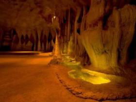 Cedar Creek Estate Vineyard And Winery - Attractions 2