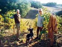 Book Lenswood Accommodation Vacations Attractions Attractions