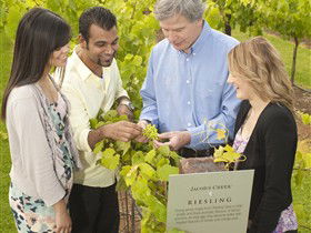 Jacob's Creek Vineyard Tour - Attractions 0