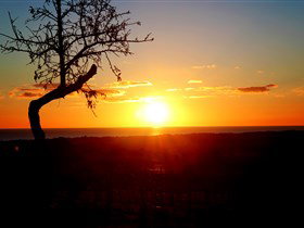 Rocky Ridge Vineyard And Cellar Door - Attractions 0