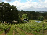Arranmore Wines
