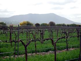 Remarkable View Wines - Attractions 1