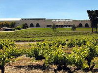 Taylors Wines
