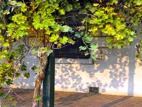 Wolseley SA Attractions